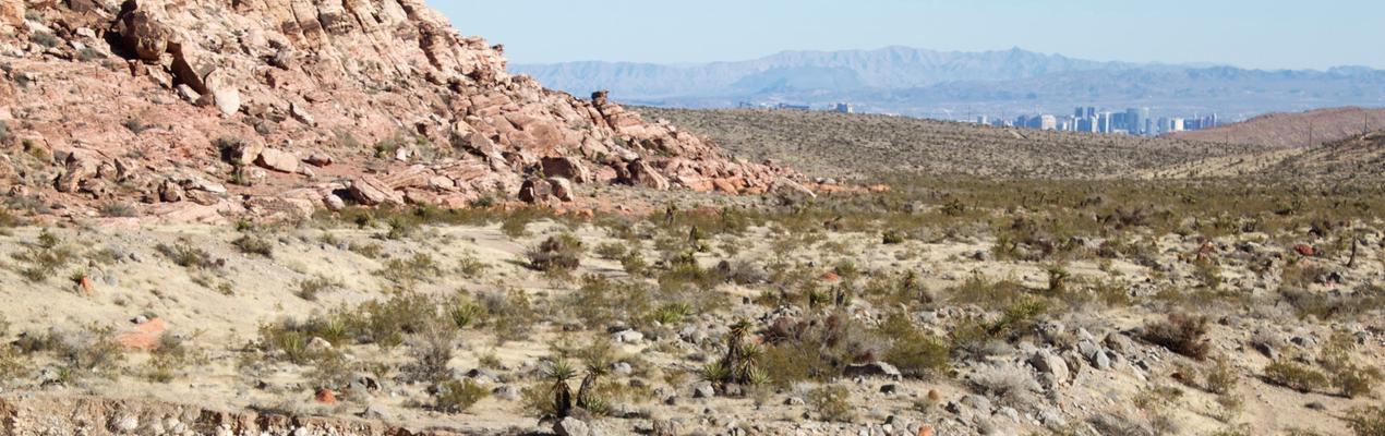 Red Rock, NV