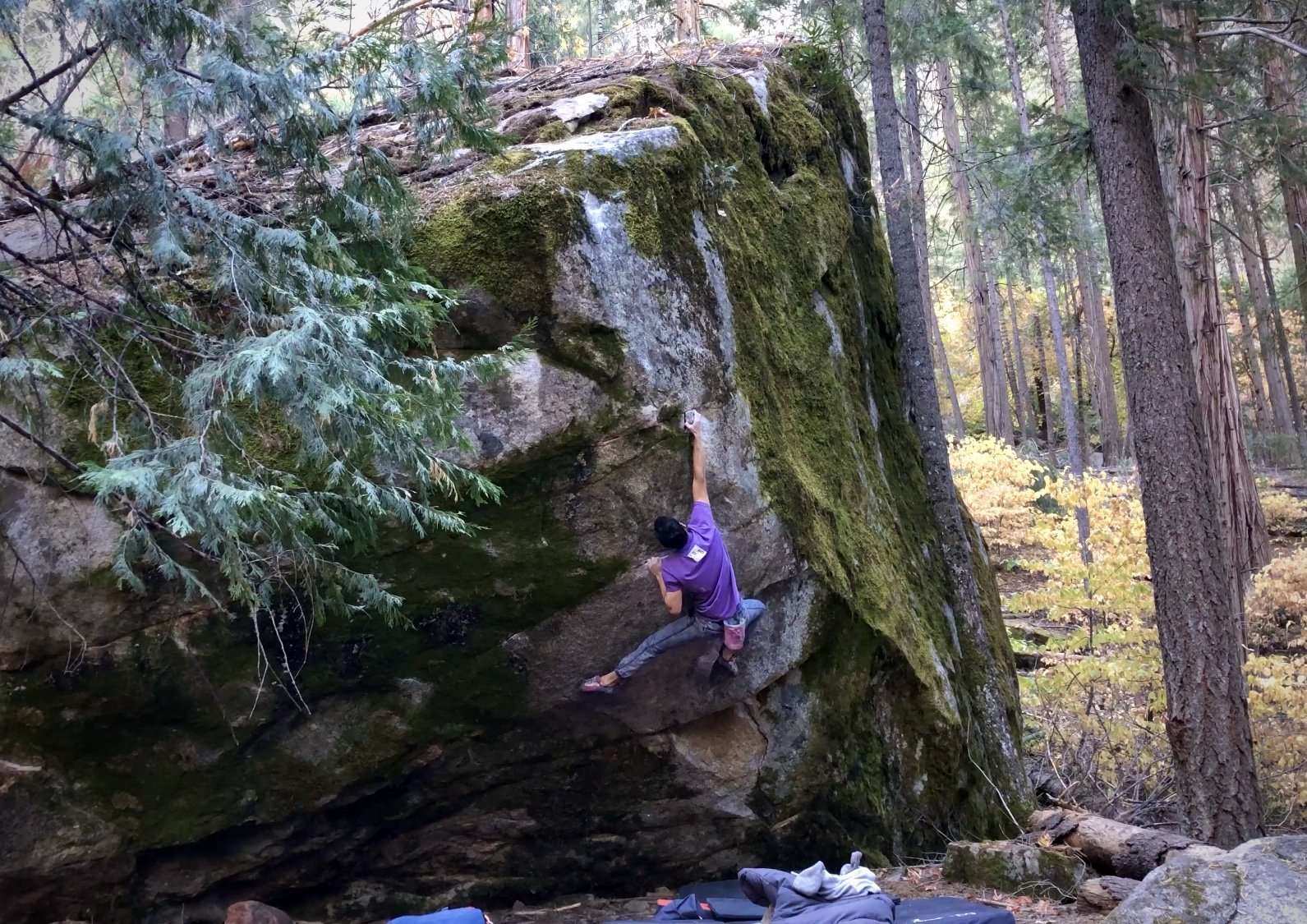 Working Wall to Wall Carpet Sit (V11)