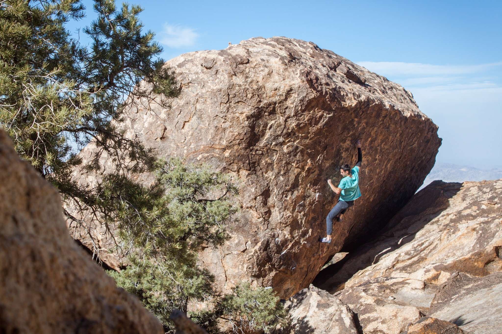 Eden on the impeccable Nicole Face (V4).