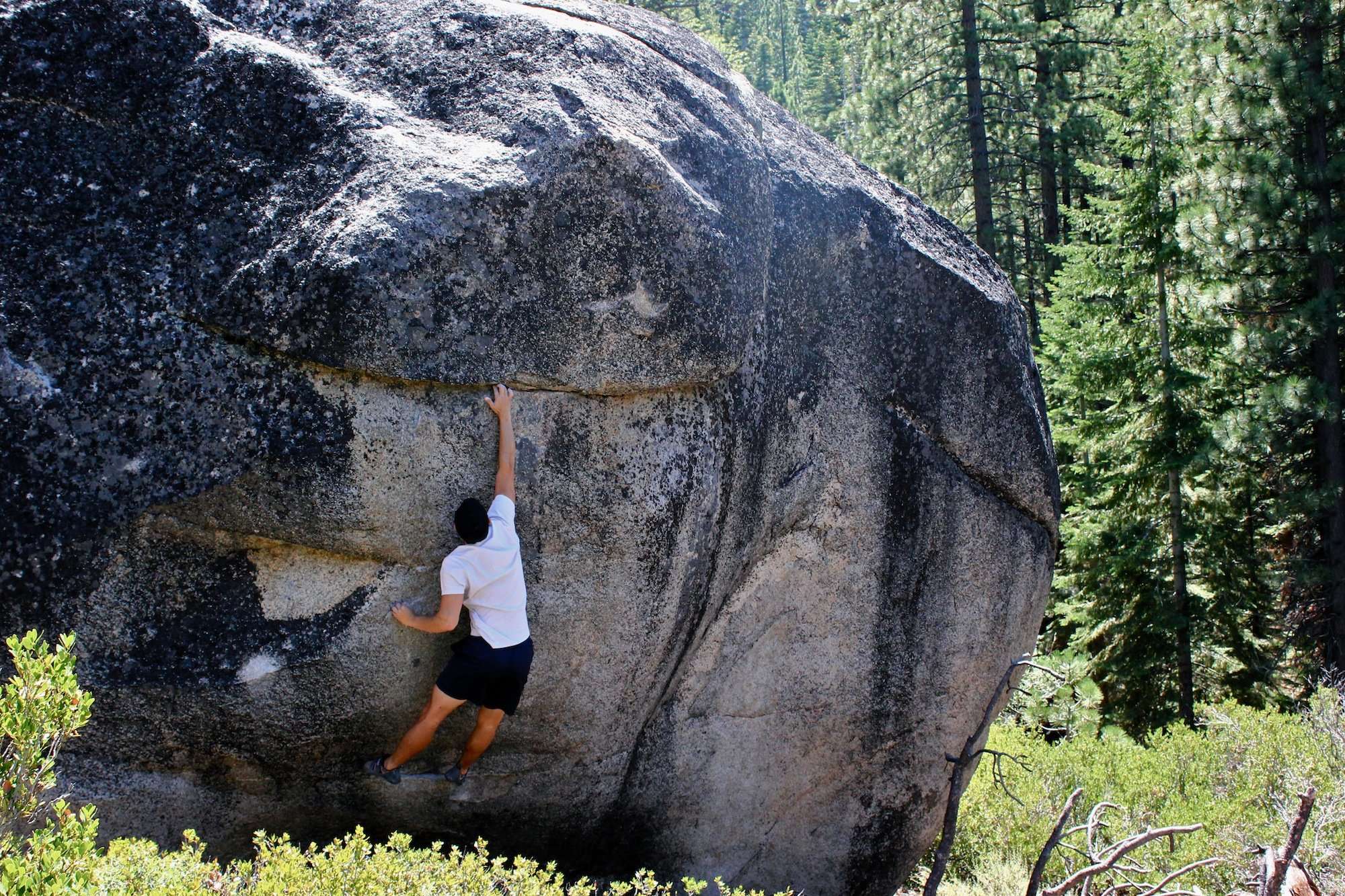 The crux dead-point